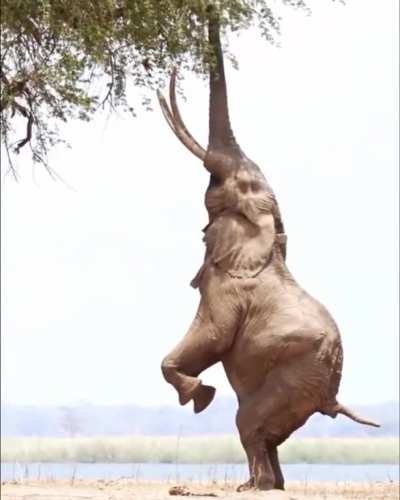 ?Sometimes you have to stand up on your two feet....