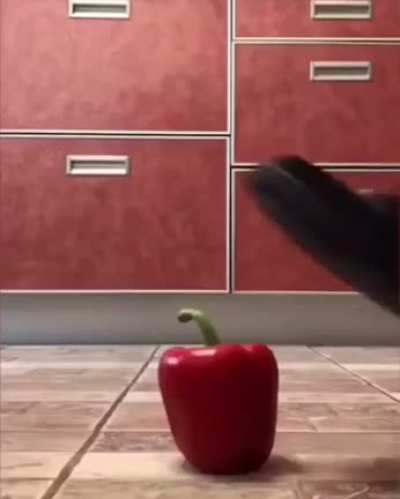 squishy vegetables