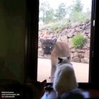 Are you kidding me? (sound on)