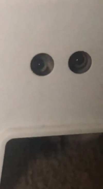 Spy