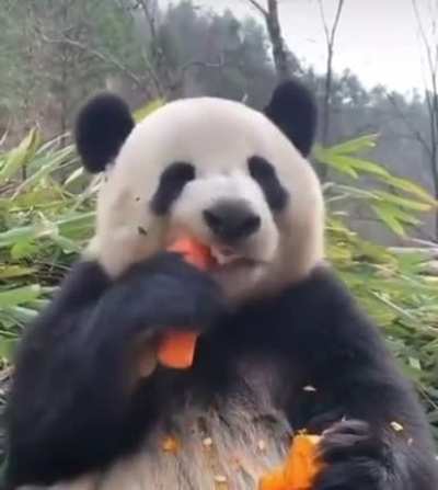 Veggies are good for you
