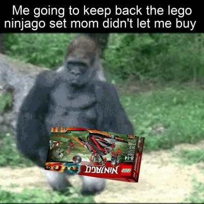 I don't have the editing skill to make this meme lol