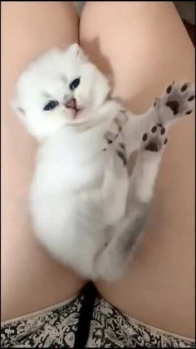 What an adorable lil baby ?