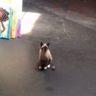 WCGW if I wait for the last moment