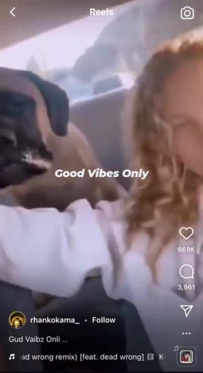 Good Vibes Only