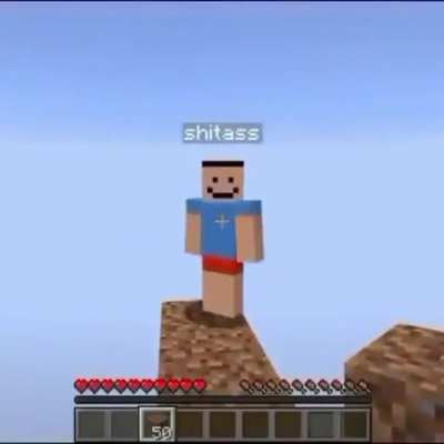 Minecraft epic glitch