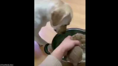 Making supper