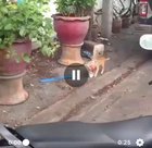 "Just walk casually, nobody's gonna notice."