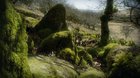 This took two years to film