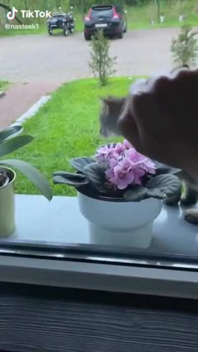 Put that finger down!