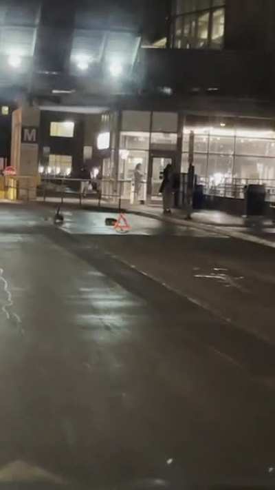 How polite are Canadians? ?? polite enough to leave two Canadian Geese chilling in a bus lane at a hospital after a rain fall by putting up a pylon so they won’t be disturbed ?