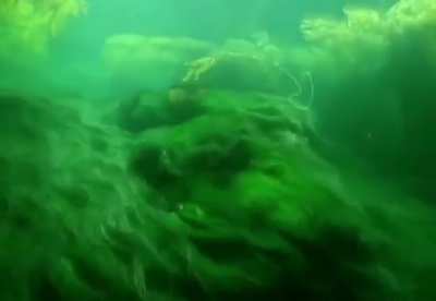 ? The underwater movement of algae.