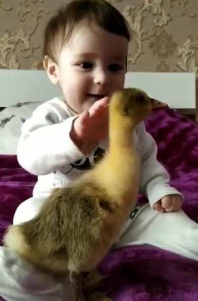 Cute...?