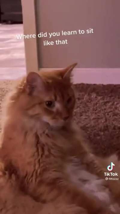 Where’d you learn to sit like that?