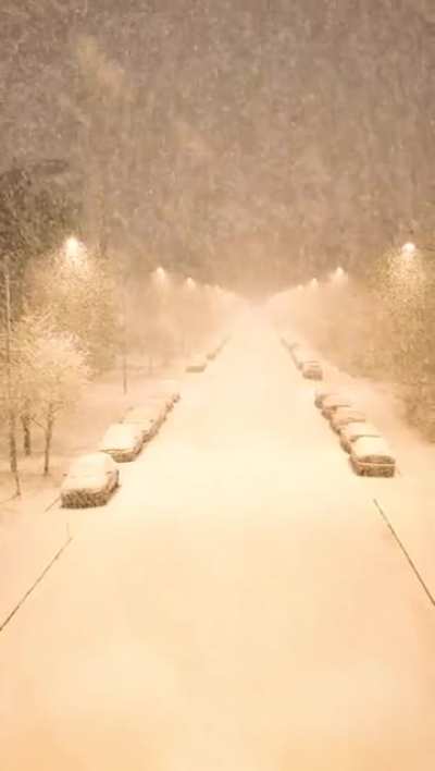 How the snow falls