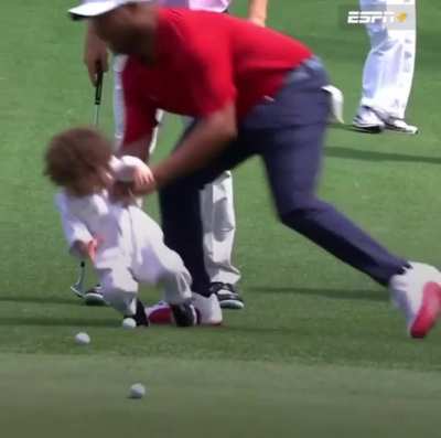 "Ooh look, a golf ball!"