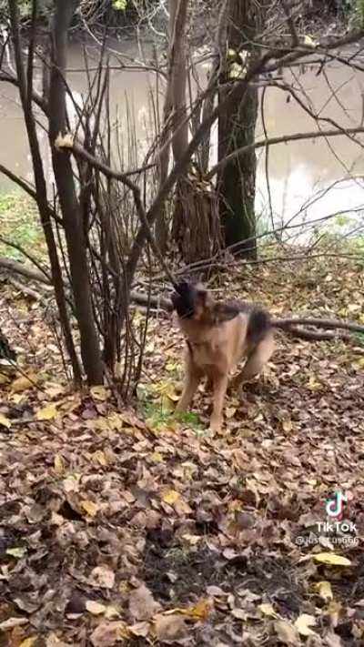 Hrumph hrumph hrumph