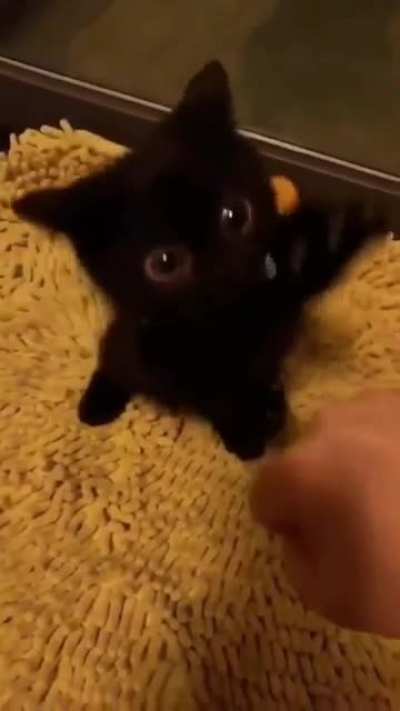 Attempted assault