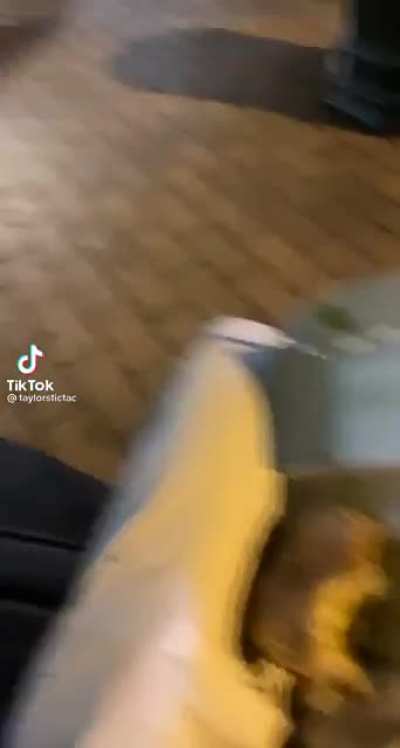 When they try to steal your food