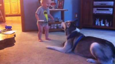 Baby and Husky, Deep in Conversation