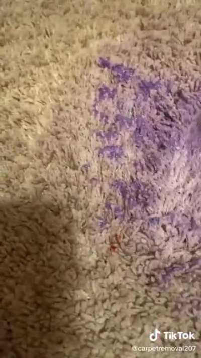 How to get slime out of carpet