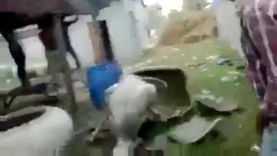 What kind of delivery system is this ?