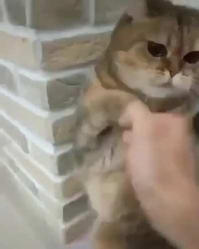 Kung Fu Boss Fight