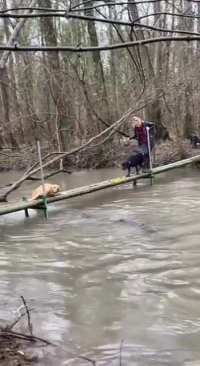 Hold on! I'm gonna help you.