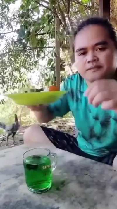 bird