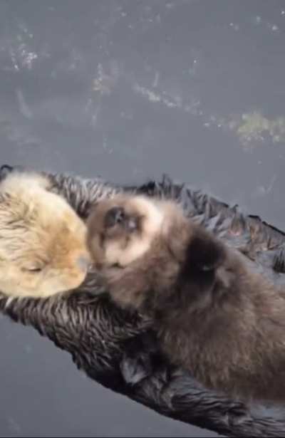 The world could use some hugs right now ?