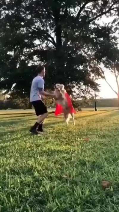 Every dog must have his day.