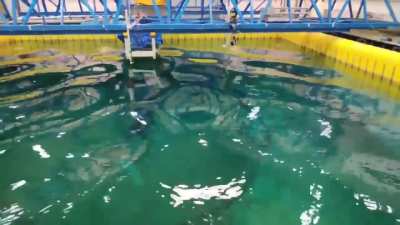 A perfect standing wave in a computer controlled wave pool