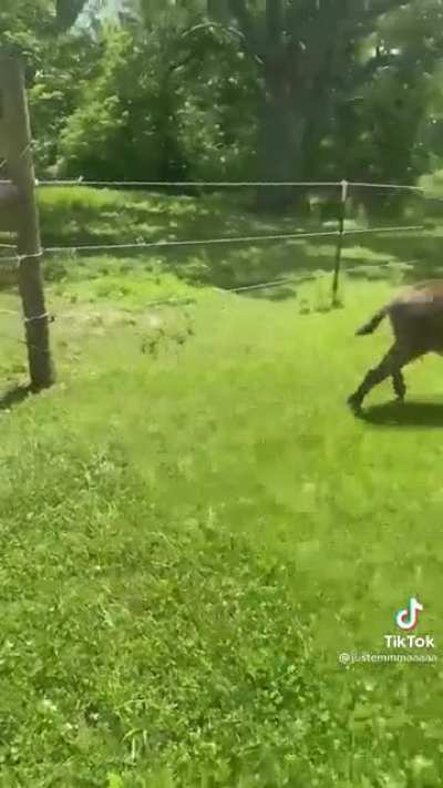 “Don’t tell mom!”