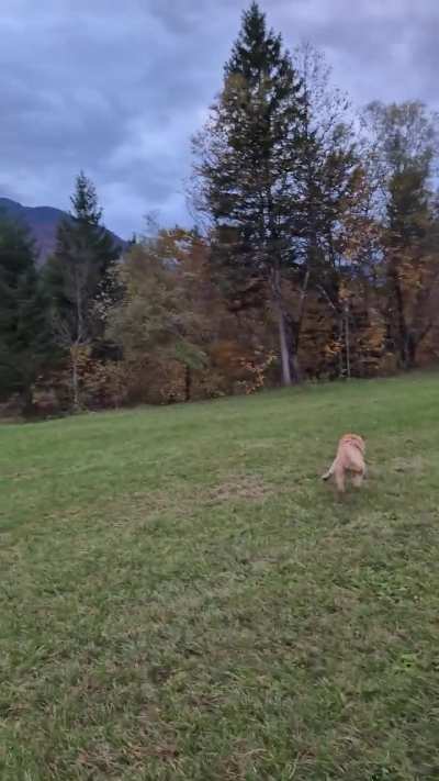 I am speed ?