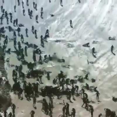 WCGW riding bikes down a glacier .