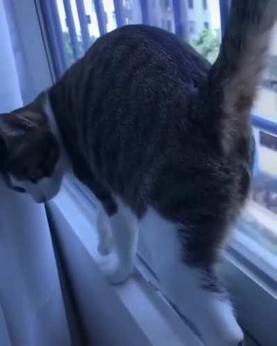 A perfectly catculated pivot