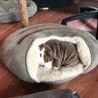 So many wrinkles!