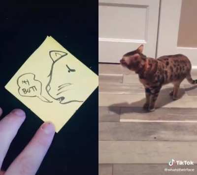 Won't someone please help this cat?
