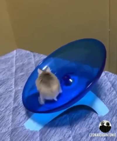 GOTTA GO FAST