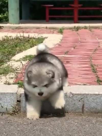 To go down a single step