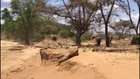 There are two ways to go down a river bed.