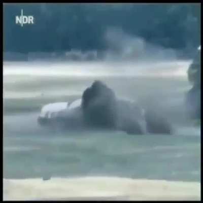 Maybe don’t fuck with Rhinos