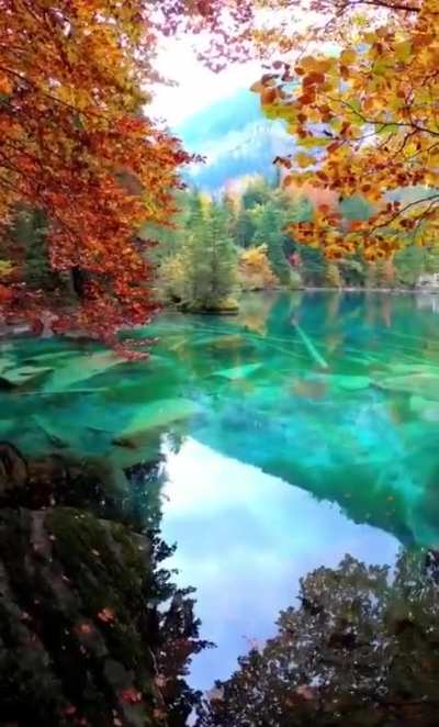 ? The well known blausee lake,with its crystal clear blue water, Switzerland.