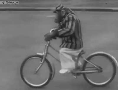 ? This talented ape taught himself how to ride a bike! We primates are not so different...