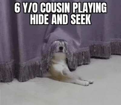 Sneak 100