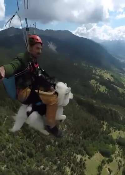 Doggy flying with Master