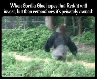 Invest in Kong Monke