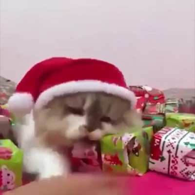 “It’s not Christmas yet!” But, almost there!!!