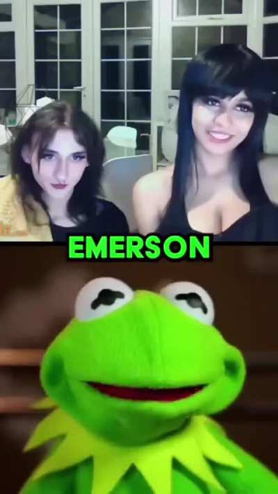 New muppets movie trailer looks entertaining