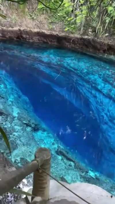 ? A crystal clear pool in the Enchanted River in the Hinatuan, Surigao del Sur, Philippines